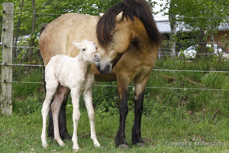 Hjoerdis 1 Stunde und 8 Min alt (2).JPG